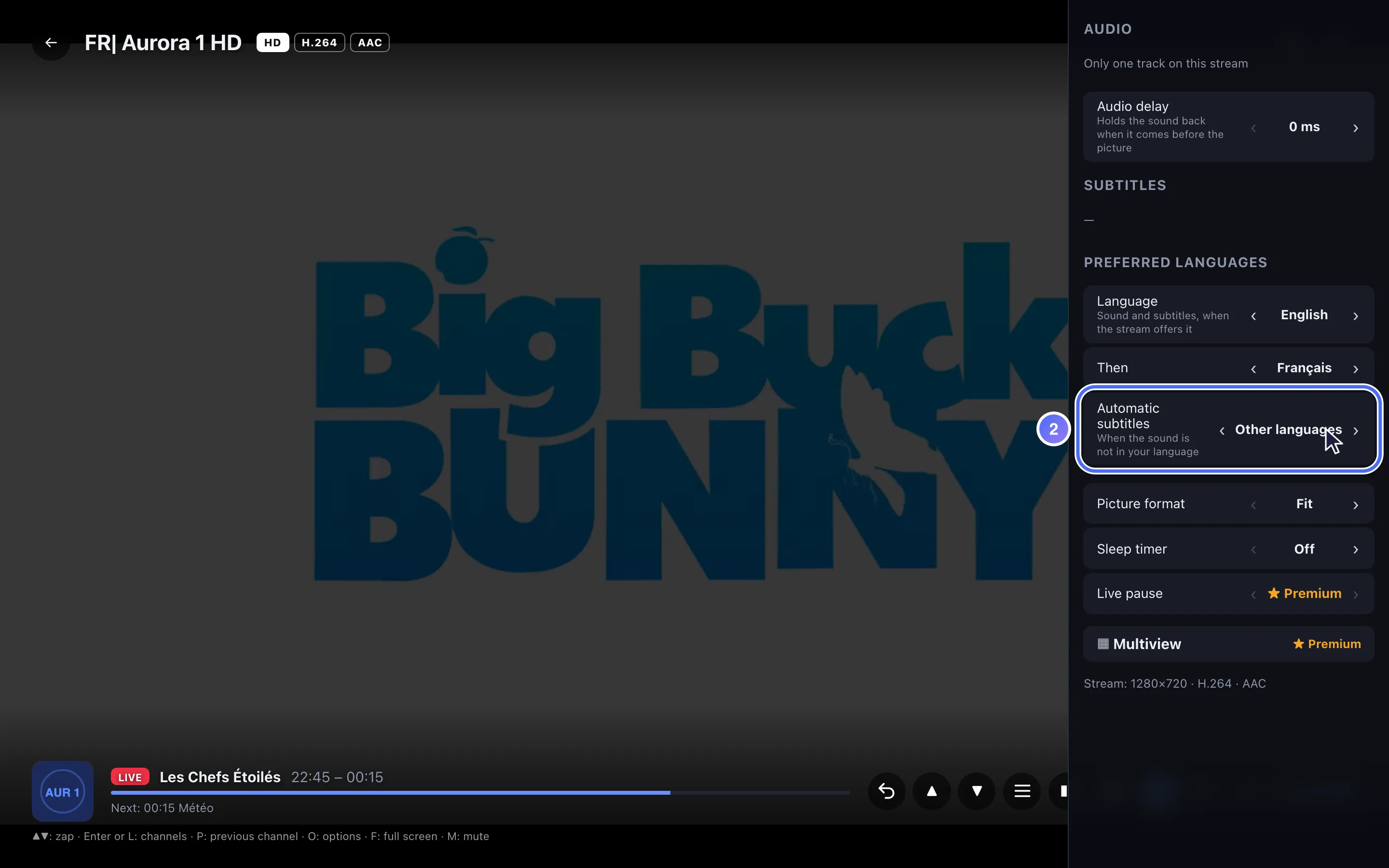 Player options, the Automatic subtitles setting