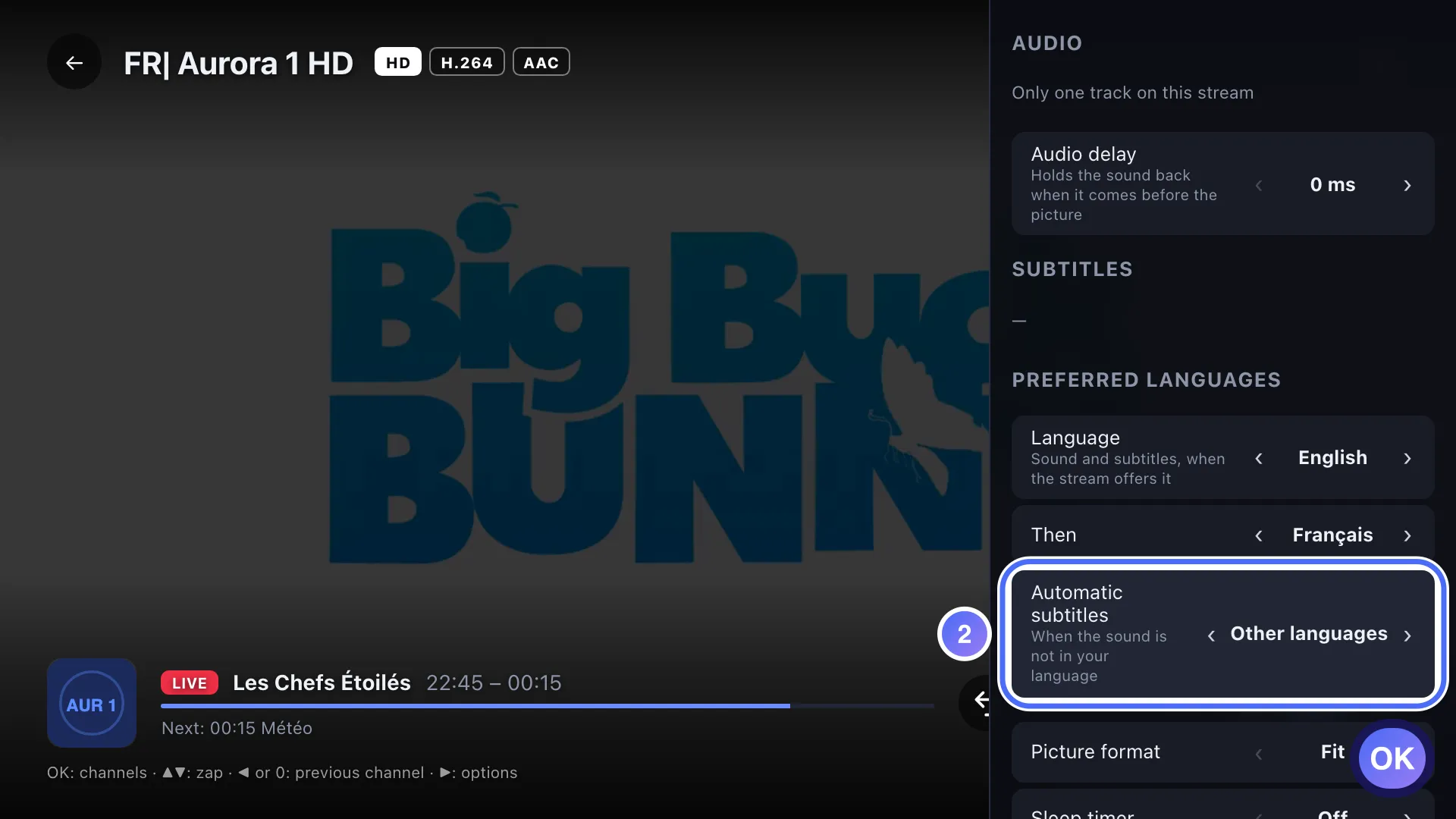 Player options, the Automatic subtitles setting
