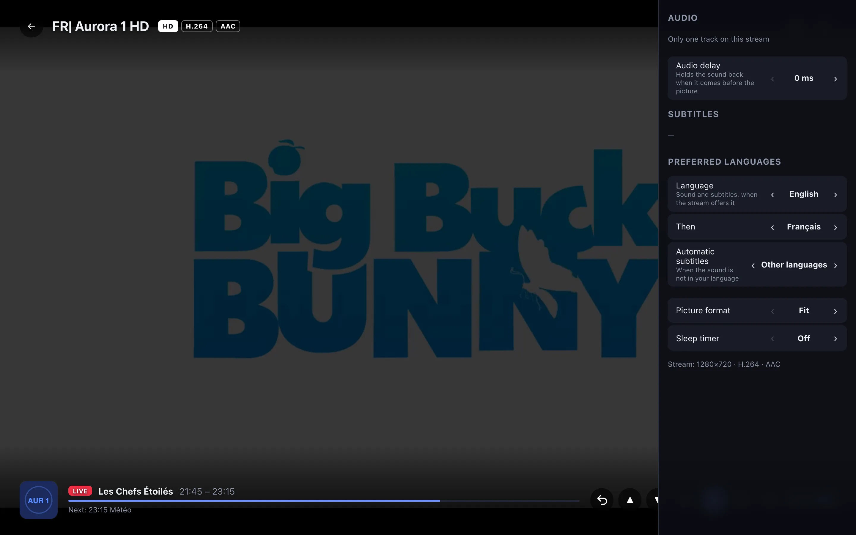 The Audio, subtitles & format panel open