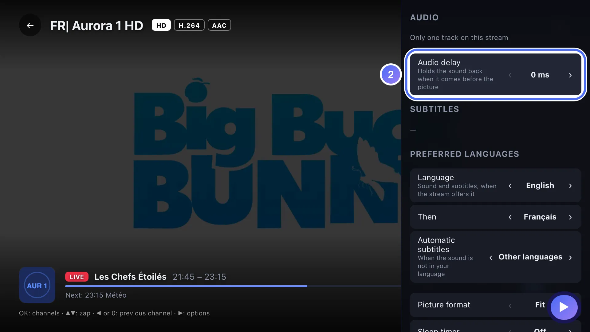 Audio, subtitles & format panel, the Audio delay row is selected