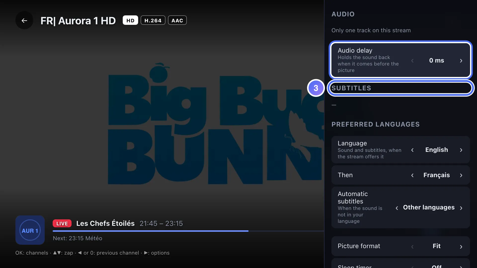 Audio, subtitles & format panel, Subtitles section