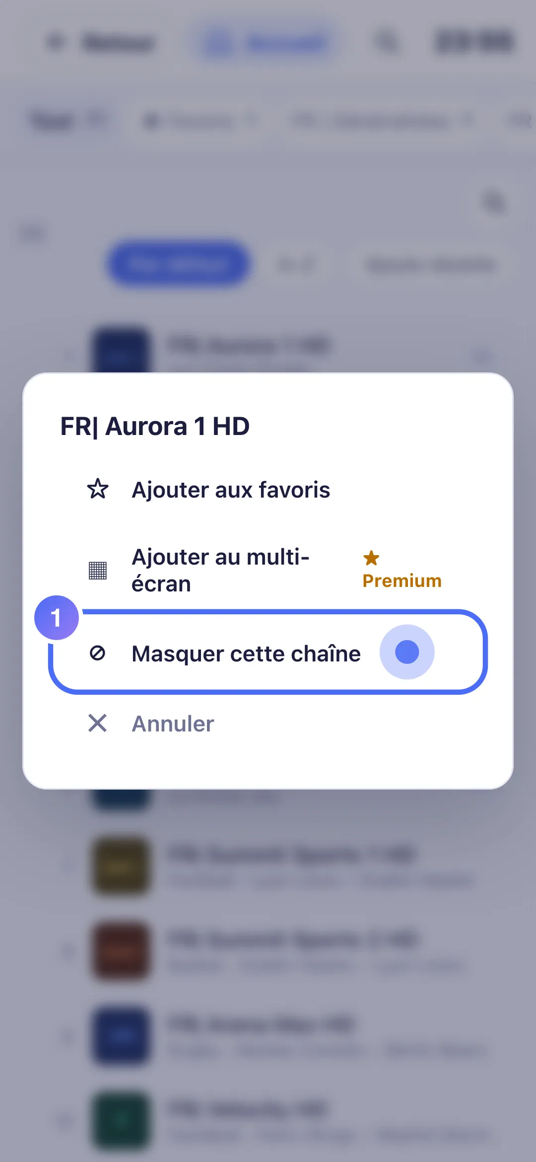 Menu rapide sur une chaîne, Masquer cette chaîne