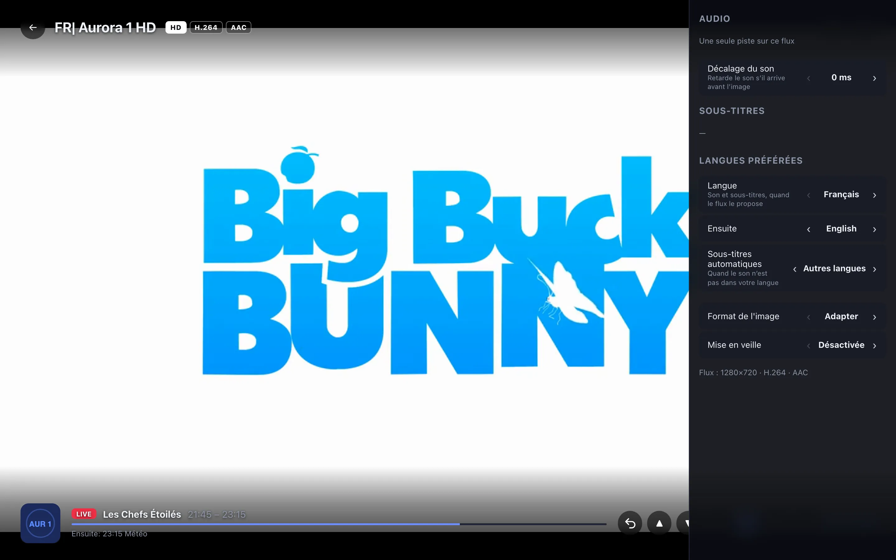 Panneau Audio, sous-titres et format ouvert
