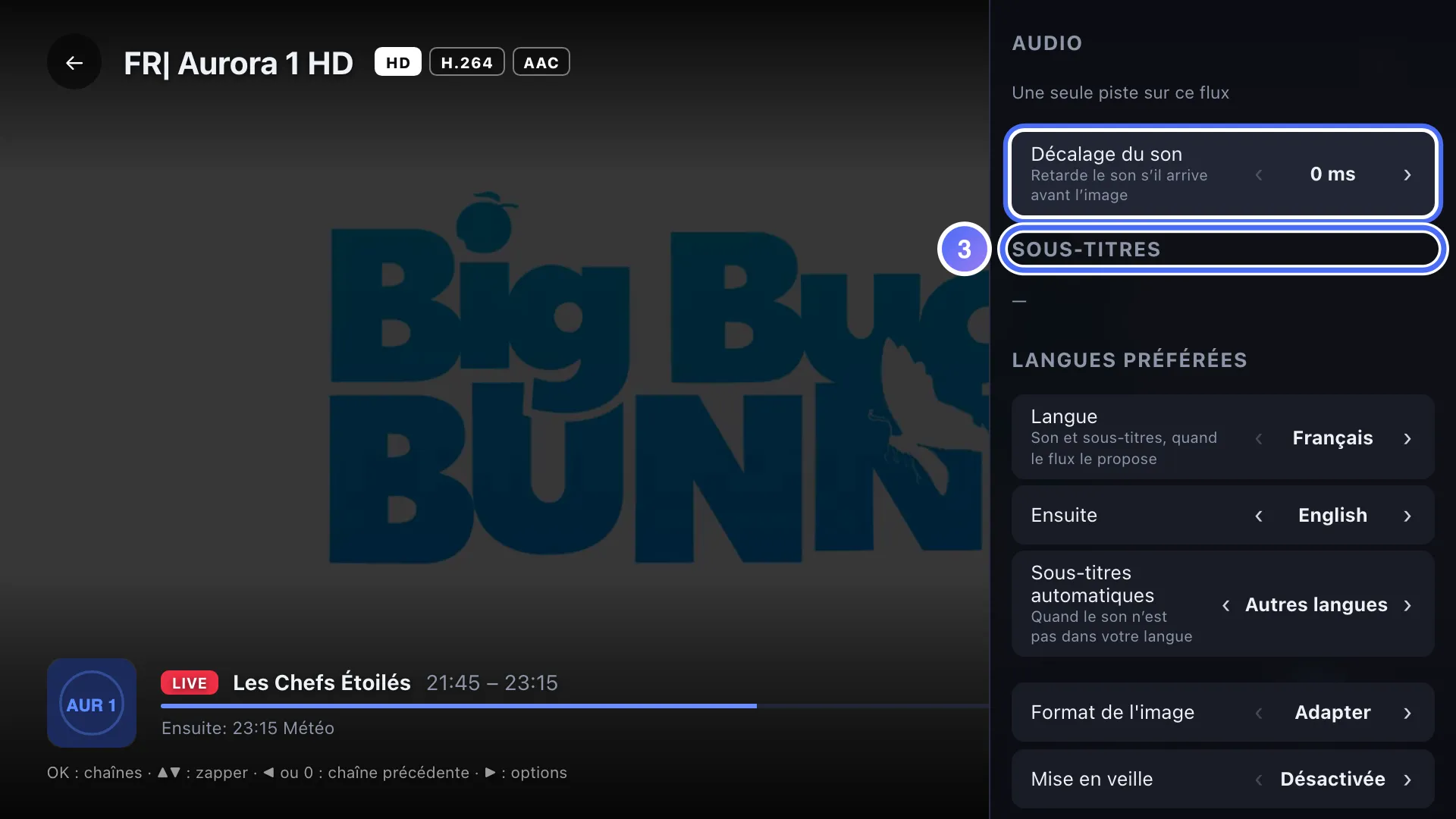 Panneau Audio, sous-titres et format, section Sous-titres