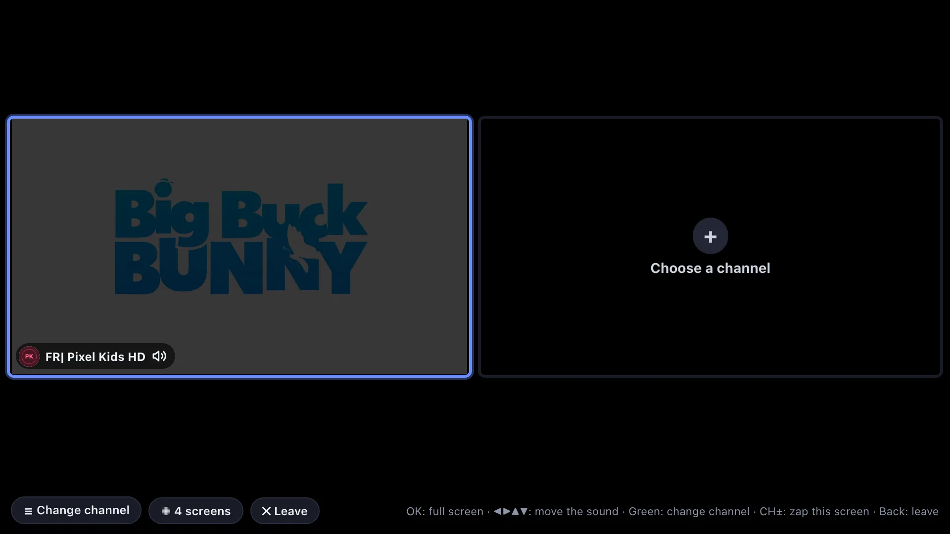 Multiview grid with several live channels at once